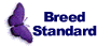 Papillon Breeder Standard