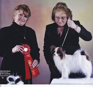 Riesa Papillon Breeders