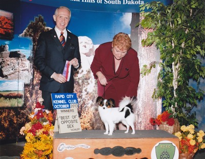Papillon AKC Breeders