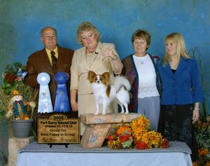 Papillon Breeders