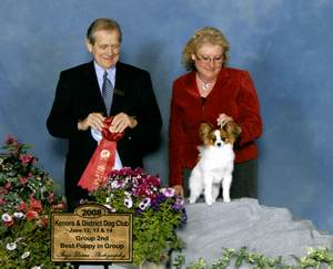 Papillon Breeders