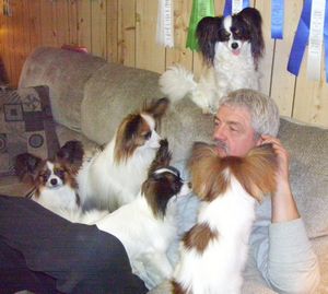 Papillon Breeders